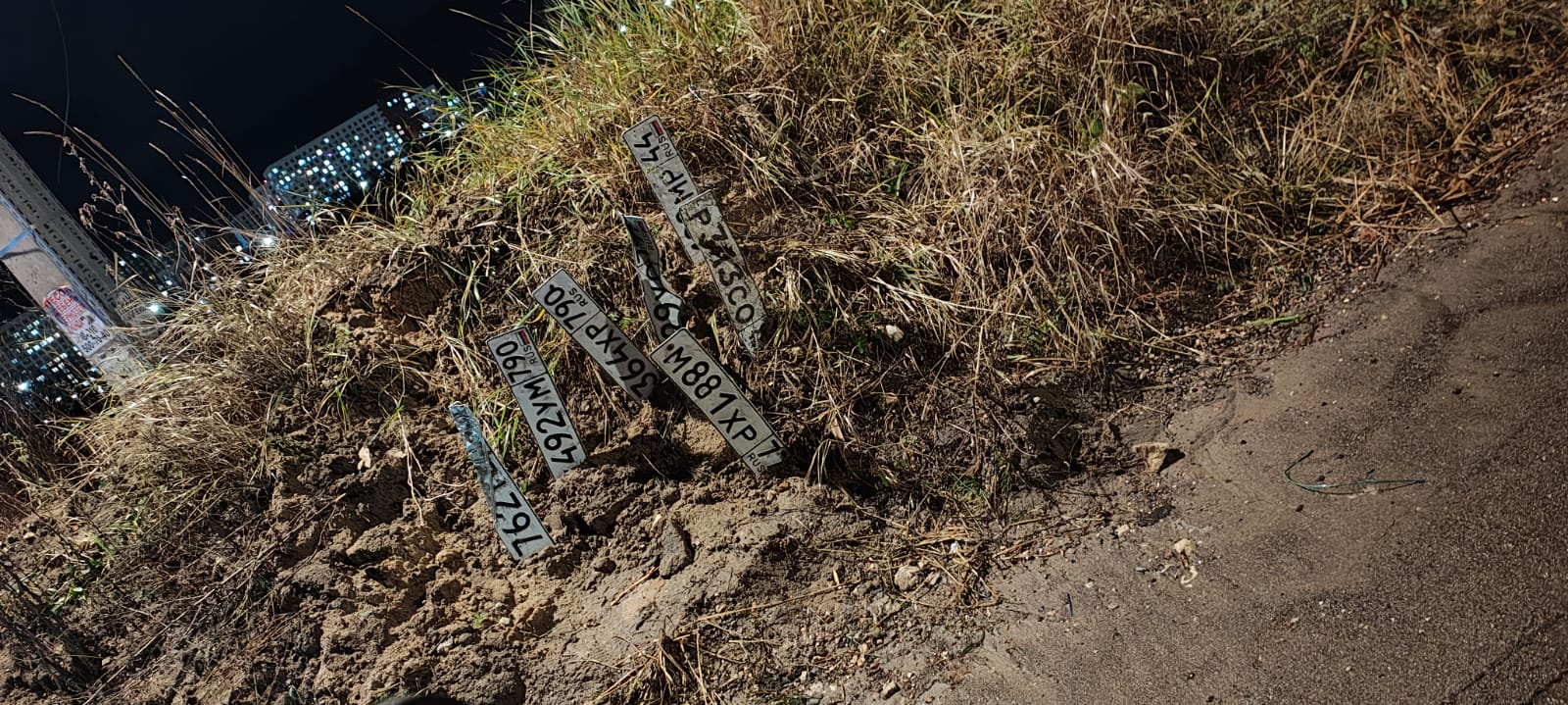 29/11/2025 новый урожай